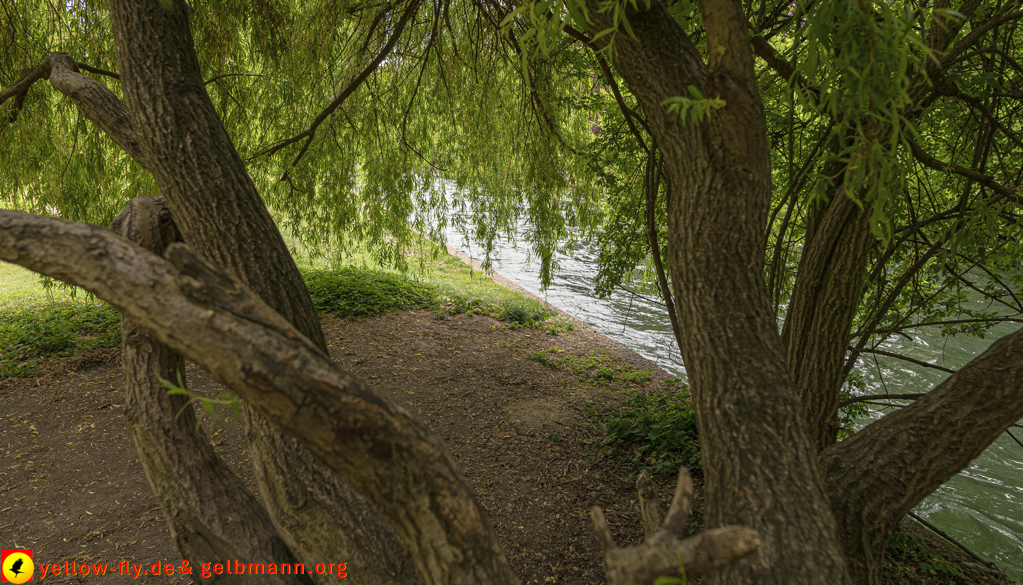 03.05.2025 - Tod im Eisbach