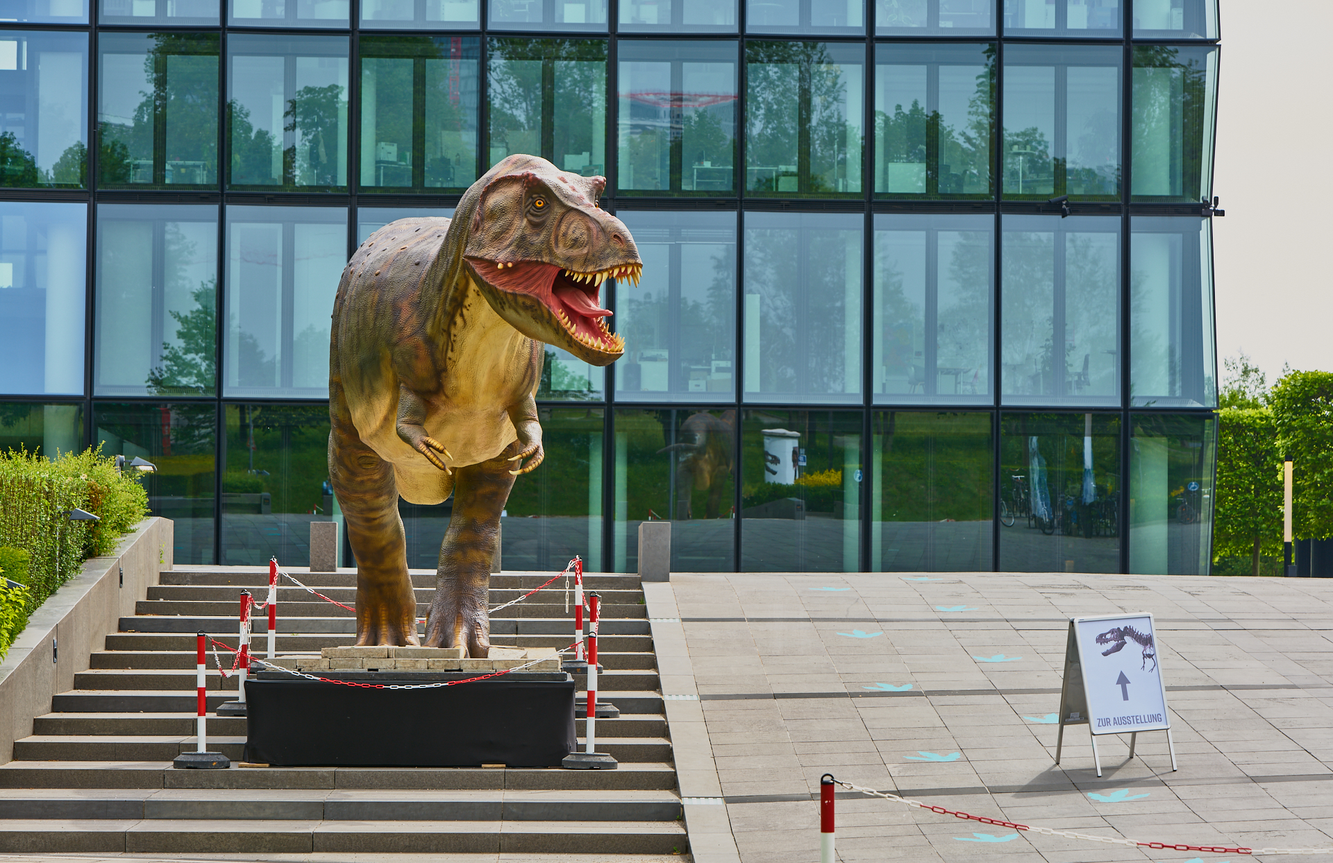 Baustelle_Montessori-Schule_im_Plettzentrum_in_Neuperlach_Photographed-by-Gelbmann Ausstellung in dem SZ-Verlagsgebäude, mit einem echten Skelett eines jungen Ekeligen