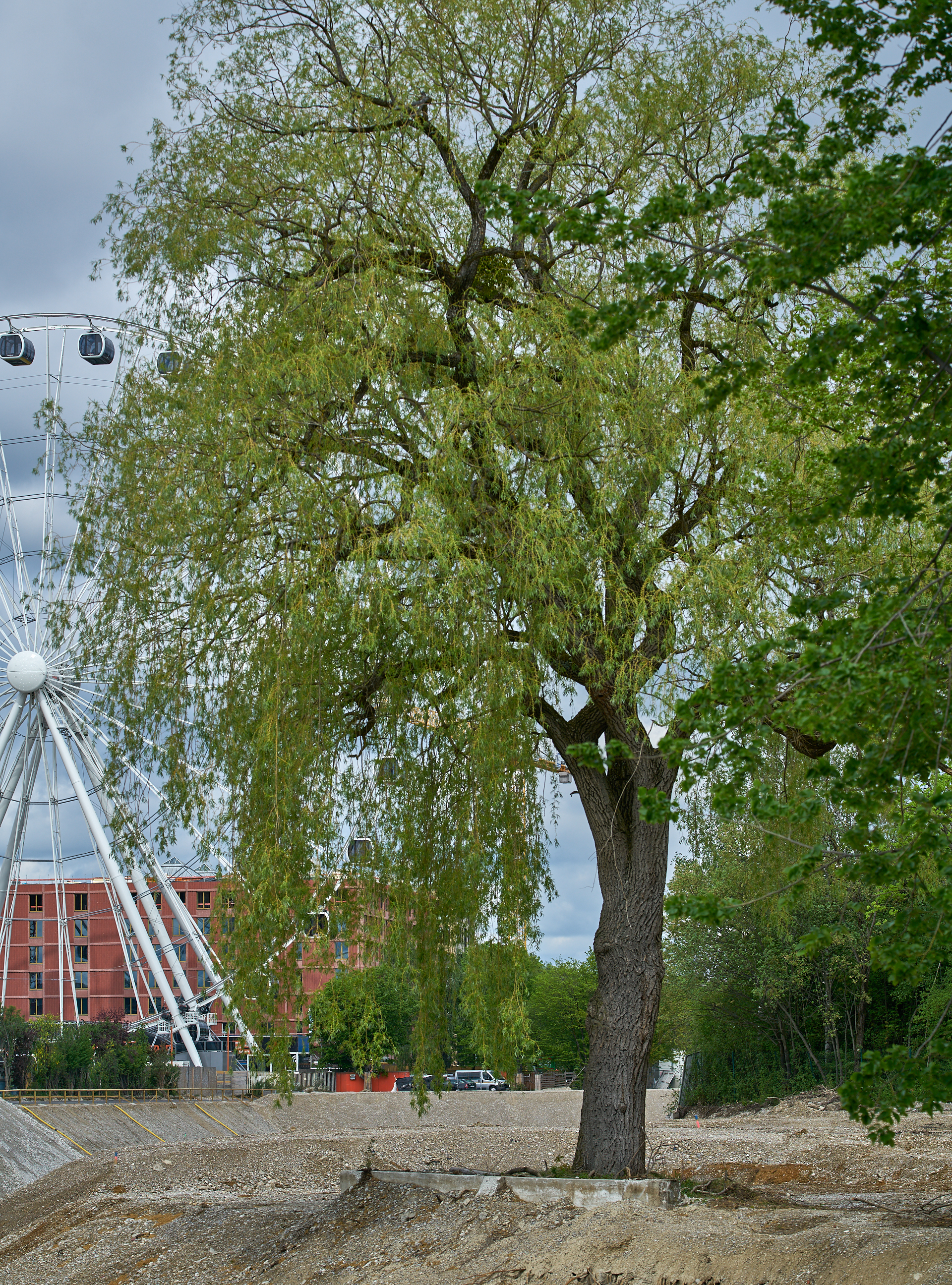 02.05.2019 - Rundgang um das Werksviertel-Mitte mit dem Riesenrad